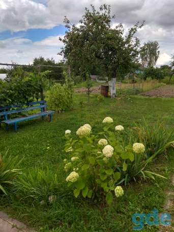 Продам дом с участком, ул.Вишневая 8, фотография 13