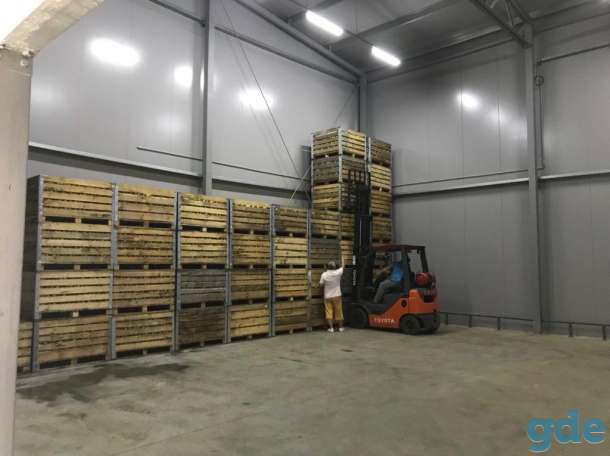 Склад+офис, А/д М6, Брузги, фотография 8