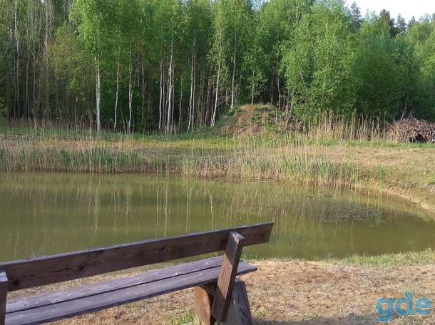 Фермерское хозяйство под Гродно, фотография 4