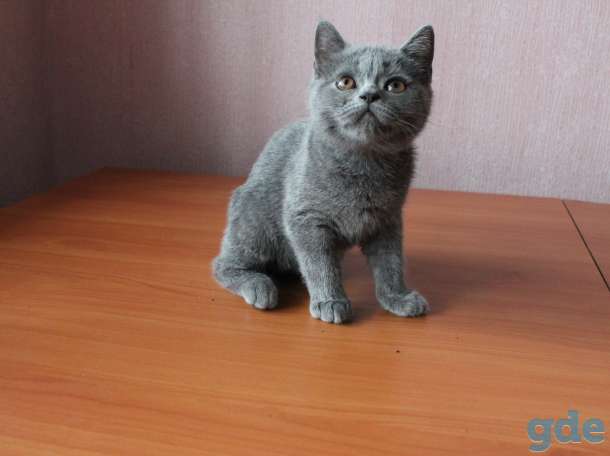2 парня и 2 девчонки ., фотография 2