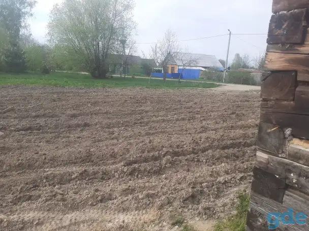 Сдам в аренду разработанный участок 20 соток под пшеницу или картошку., фотография 3