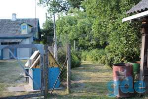 Продам дом, Гродненская обл., Щучинский р-н, д.Щенец, фотография 8