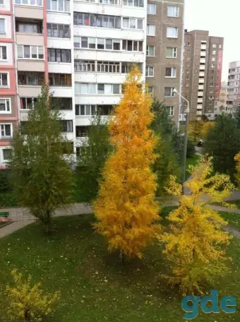 Сдам комнату в Сухорево, Горецкого ул. 19, фотография 5