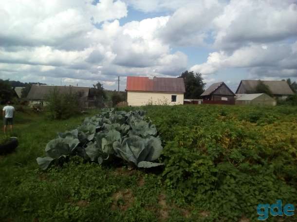 Дом в деревне, Д.Шинковцы, фотография 5