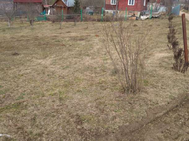 Срочно продам с/т Фантазия-Силичи, фотография 6