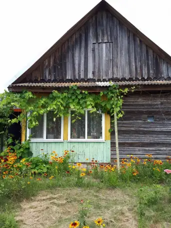 Продам дом, Гомельская область., ул. Ленинская, 118, фотография 4