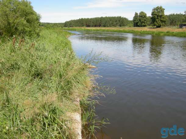 Продажа дома, д. Быстрица, Островецкий р-н, Гродненская обл., фотография 4