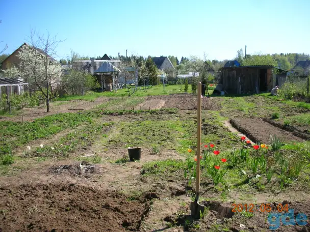 Продам дачу, Чауский район .поселок Реста, фотография 2