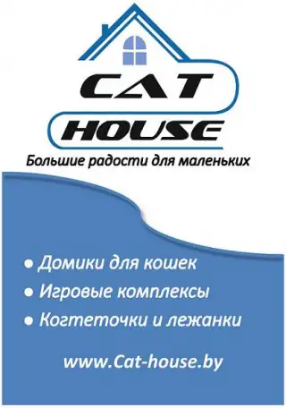 Предложение для настоящих любителей котов!, фотография 1