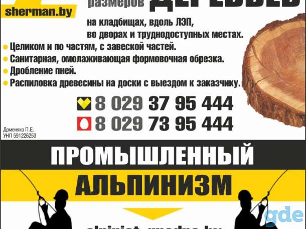 Спилить большое,аварийное,сухое,трудное дерево, фотография 2