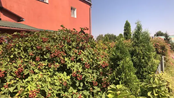 Сдам комнаты посуточно, Берестская область, ул. Баженовой, 3А, фотография 2