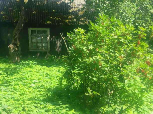 Продажа участка 90 соток под Барановичами, фотография 4