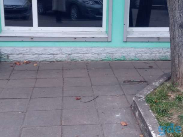 Сдам или продам торговый павильон, фотография 2