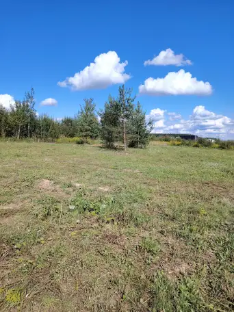 Продаю участок, фотография 2
