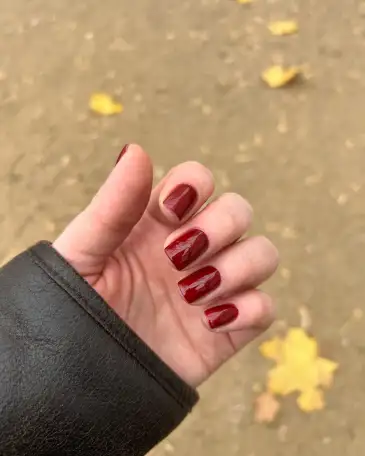 Маникюрпедикюрброви, фотография 5