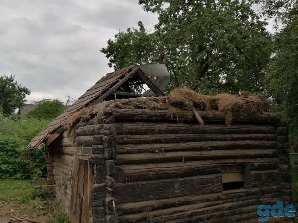 Покос травыспилка деревьевразбор хоз.постоек., фотография 3