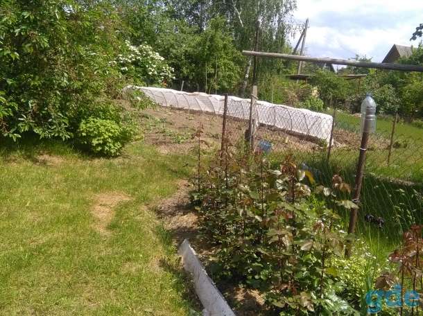 продам дачу, фотография 6