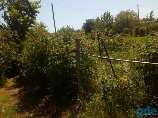Продается дачный участок, фотография 4