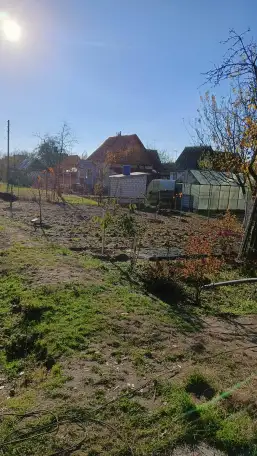 Дача СТ Сож ГЗПД 3 км от д. Бобовичи, фотография 8