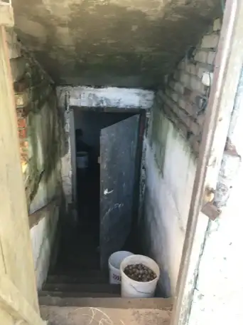 Продаётся дом, д. Дворец, Гомельская обл.,Рогачевский р-н, фотография 4
