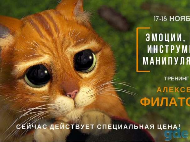 ЭМОЦИИ, КАК ИНСТРУМЕНТ МАНИПУЛЯЦИЙ, фотография 1