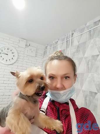 Стрижка собак бесплатно!, фотография 2