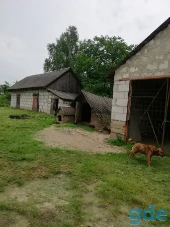 Продажа дачного участка с домом,, фотография 4