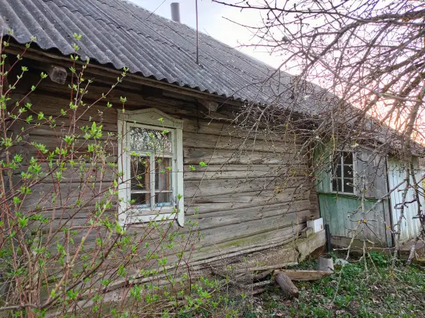 Дом в д. Громницы, фотография 6