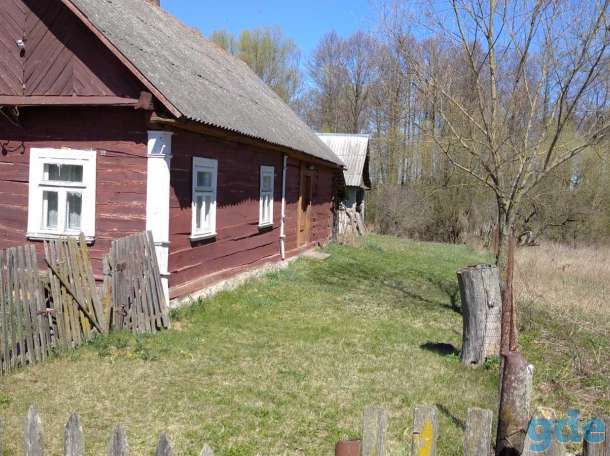 Дом в жукевичи, Жукевичи 41, фотография 2