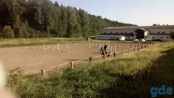 Обучение верховой езде, фотография 5