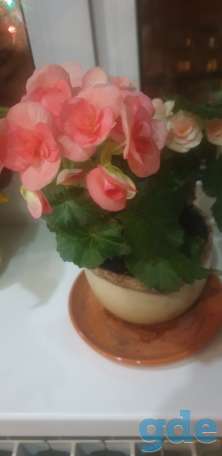 Продам, фотография 3