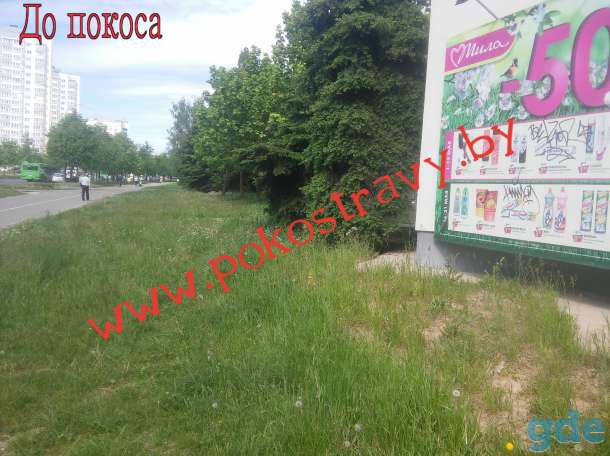 Покос травы и стрижка газона, скашивание бурьяна в Минске и области, фотография 1