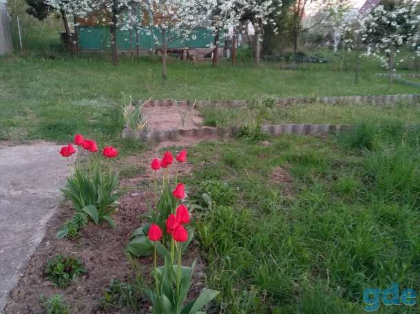 Продаю загородный дом.Гродно,Пагараны,энергетик 4, фотография 7