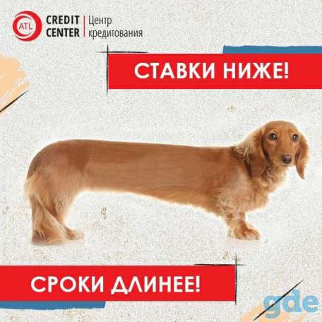 Вам срочно нужны деньги? Мы поможем их найти!, фотография 1