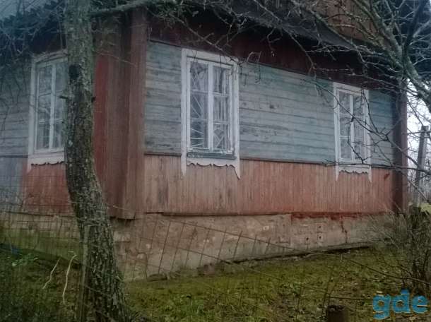Дом, Белый Берег, Беларусь, фотография 3