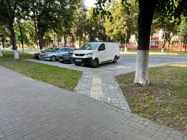 Аренда торгового помещения, 220а, фотография 11