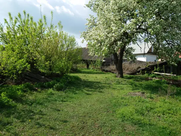 Продам участок, ул.Космонафтов д.94, фотография 8