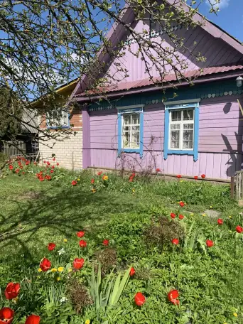 Продам дом, Деревня Заскорки, Вороничский сс, фотография 1