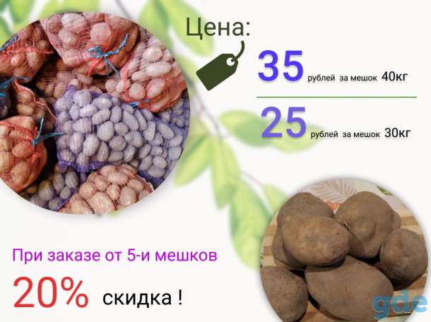 Отличный картофель к Вашему столу! Продам по выгодной цене, фотография 1