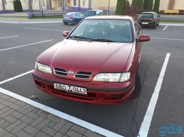 Nissan primera P 11   1.6 бензин каждый день на ходу., фотография 3