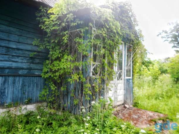 Продам дом в д.Новый Погост Миорского р-на, фотография 1
