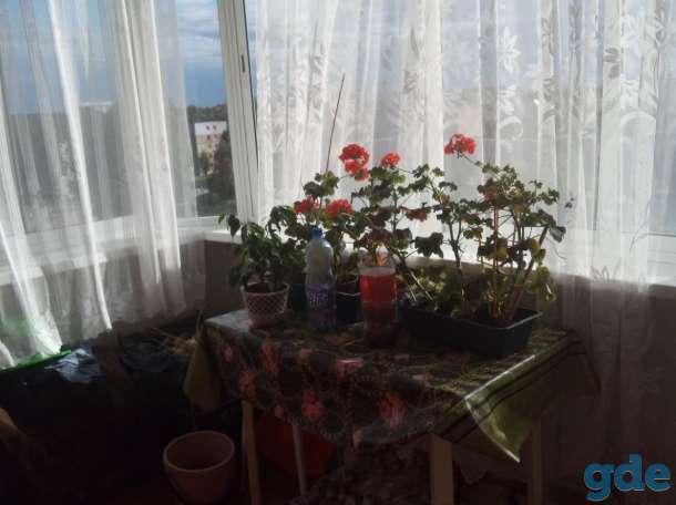 Продажа 3-ёх комнатной квартиры( прямая продажа) в г. Новолукомль по ул. Набережная., фотография 6