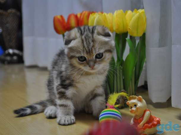 Пользователь, фотография 4