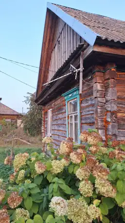 Продам дом, Гомельская область., ул. Ленинская, 118, фотография 1