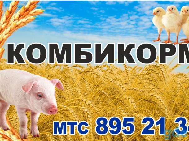 Комбикорма, Зерно, Пшеница, Ячмень, Отруби, фотография 1