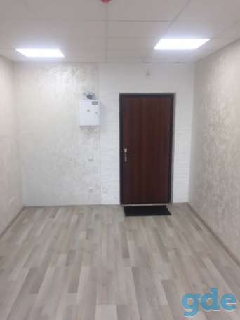 Сдам офис, пер. Софьи Ковалевской 60, фотография 4