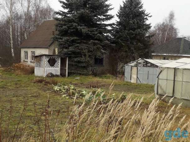 Продам дачу, Садовое товарищество д.Каменка, фотография 1