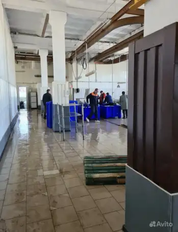 Продаётся, сдается Рыбоперерабатывающий цех в Бобруйске, фотография 13