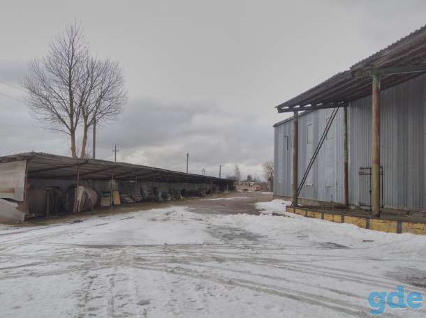 Продажа распределительных складов + склад-холодильник, фотография 6