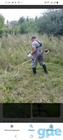 Обрезка деревьев. ПОКОС ТРАВЫ.НЕДОРОГО!!!, фотография 4